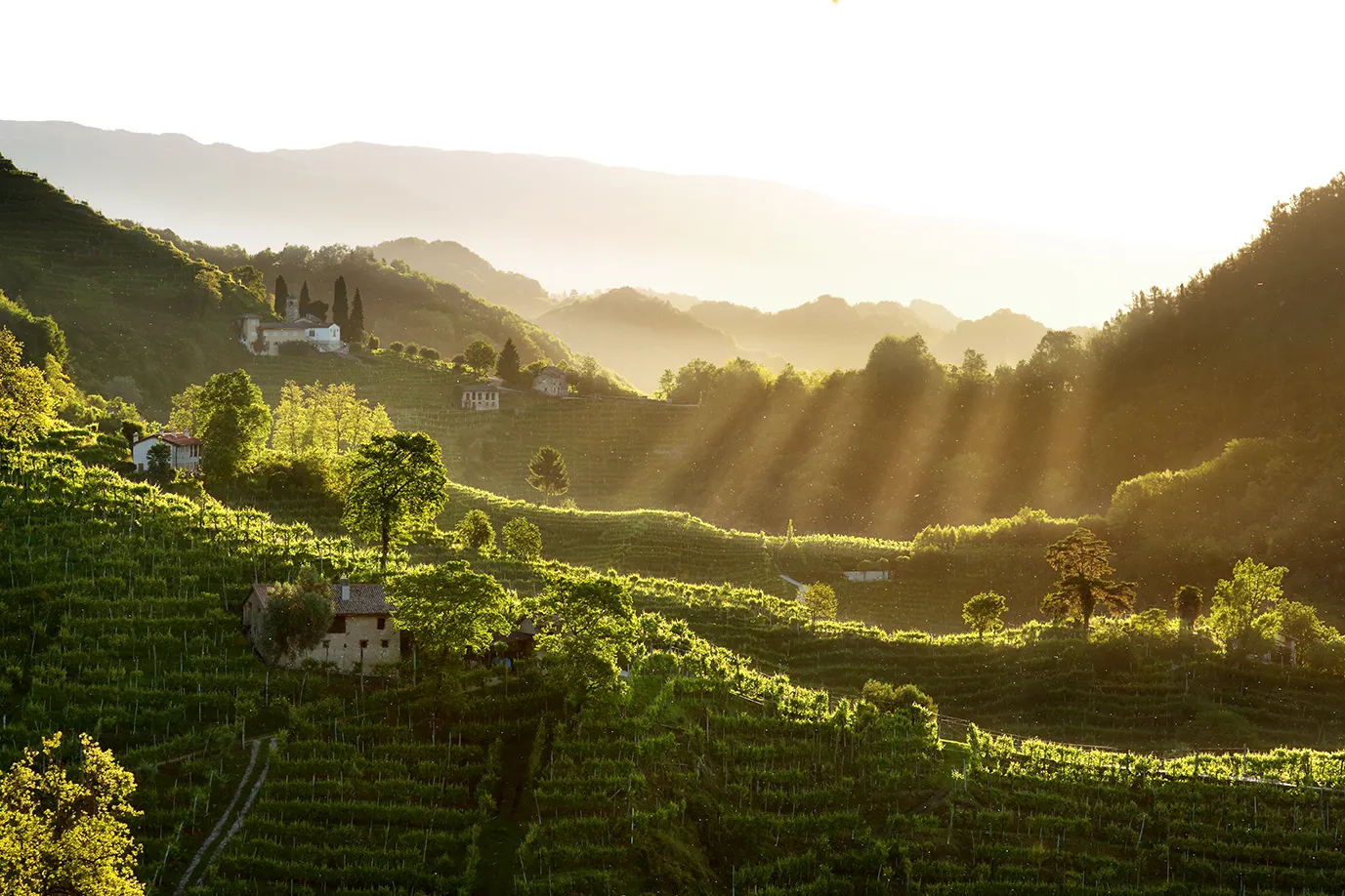 TURISMO IN VENETO